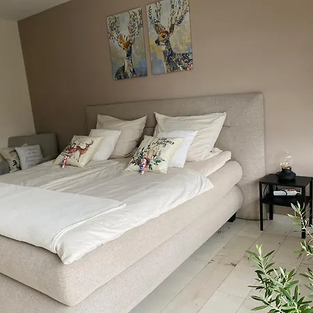 Zentrales Privatapartment * باد هومبرغ فور دير هوه